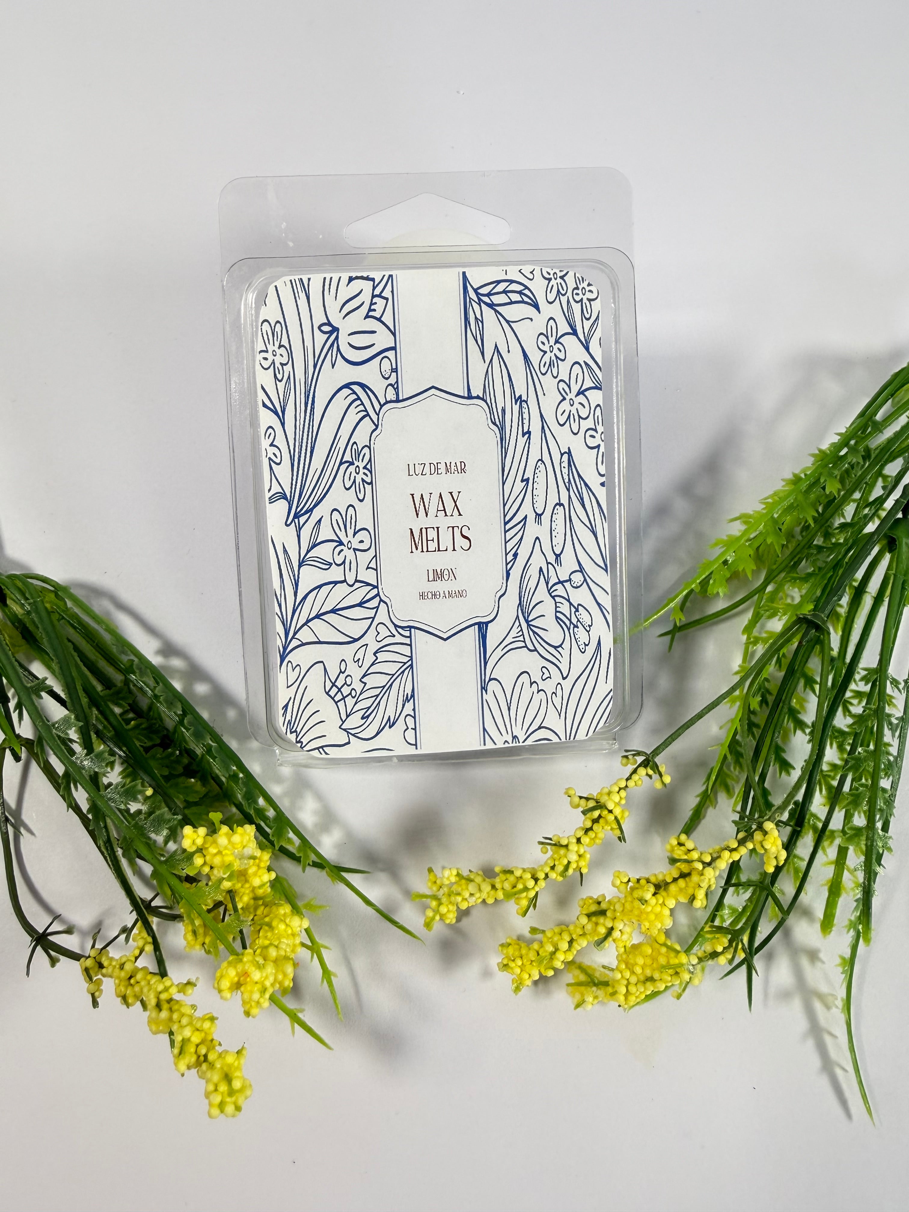 PRODUCTIVIDAD wax melts